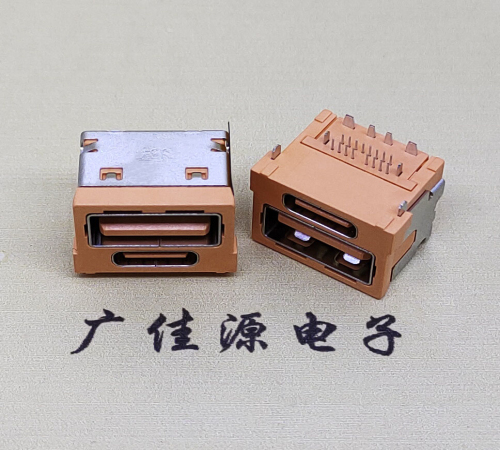 广东双用USBA+C接口16PIN二合一插座